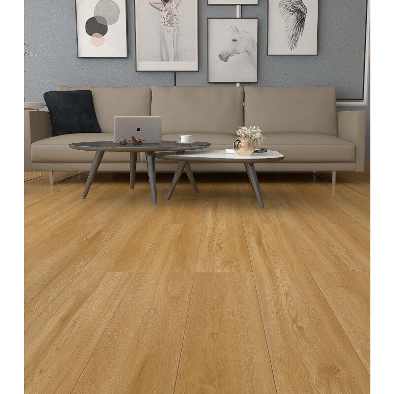 Produttore E Fornore Cinese Di Substrato Per Wafer In Zaffiro Da 150 Mm, 6 Pollici, 0,7 Mm E 0,5 Mm, Piano C SSP/DSP | Xinkehui